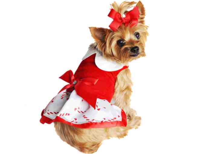 Holiday Harness Dress - Candy Canes small