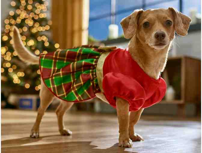 Red and Green Plaid Dog Dress