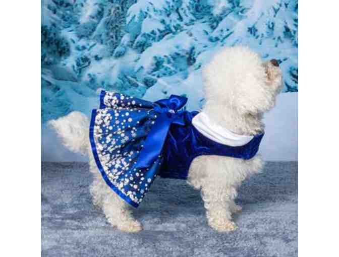 Holiday Harness Dress - Snowflakes on Blue Velvet size Medium