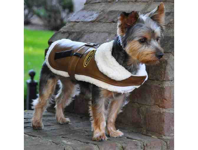 Brown and Black Faux Leather Bomber Dog Coat Harness and Leash by Doggie Design M