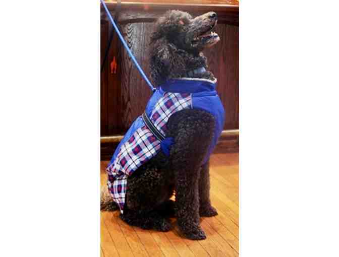 Doggie Design Alpine All-Weather Dog Coat Royal Blue Plaid - size Small