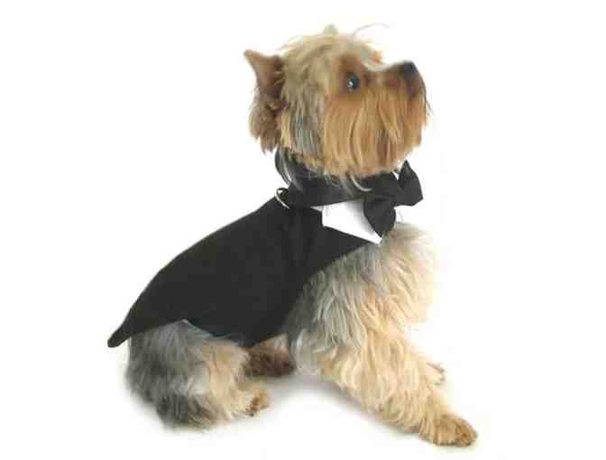 Doggie Design Black Harness Wedding Tuxedo