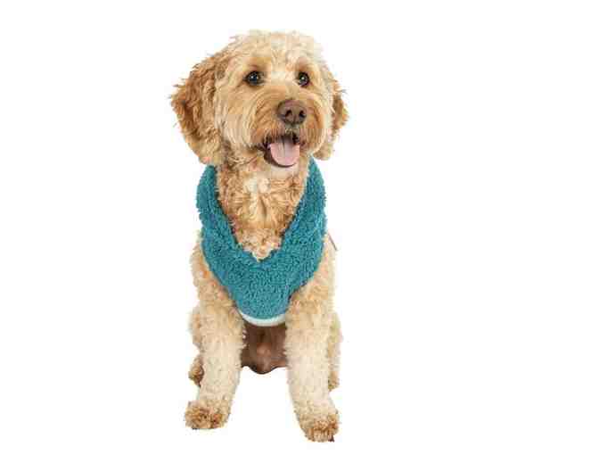 Justice Pet Polyester Sherpa Snowflake Dog Hoodie, Turquoise, S
