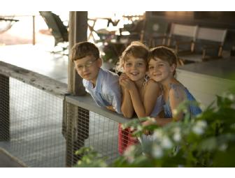 Portrait Session & Custom 12 inch Portrait