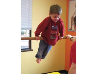 The Little Gym of Shaker Heights