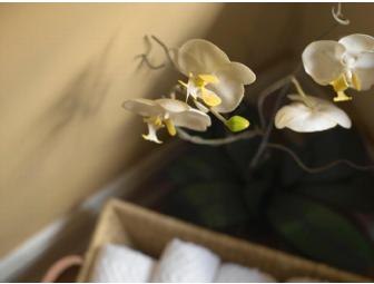 Deep Cleansing Facial & Eyebrow Arch