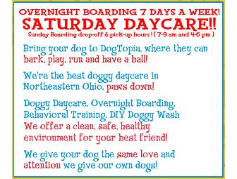 Dogtopia 'Day Care for Dogs' Package