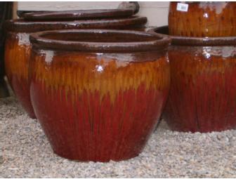 Bremec's $25 Gift Card