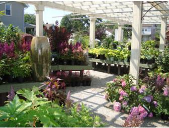 Bremec's $25 Gift Card