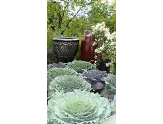 Bremec's $25 Gift Card