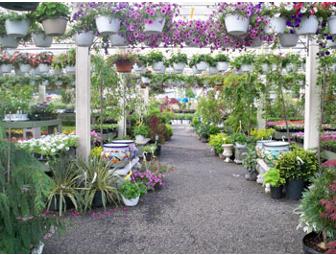 Bremec's $25 Gift Card