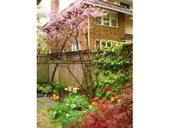 Garden/Landscape Consult with MJM Landscaping