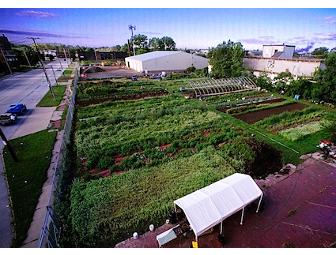 Blue Pike Farm Market $20 Gift Certificate