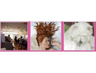 Manicure and Pedicure at Studio Taylor