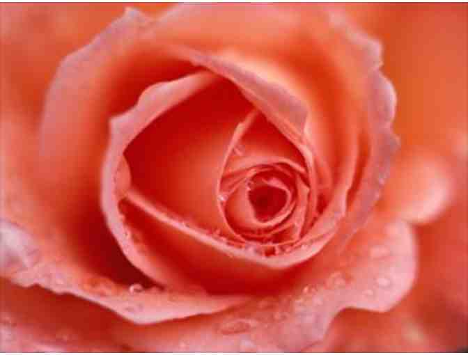 $25 Gift Certificate to Diamond's Flowers