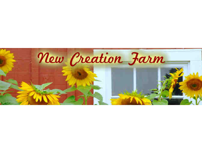 $35 Gift Certificate to New Creation Farm