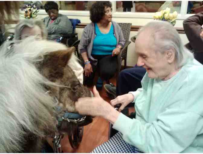 Life-Enrichment Activities - Loving Hands Group