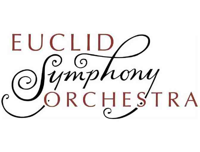 Guest-Conduct a Symphony Orchestra