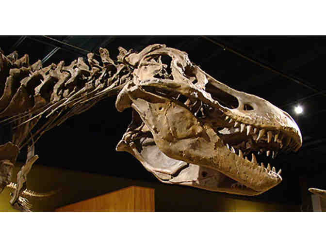 4-Pack of Admission Tickets to The Cleveland Museum of Natural History