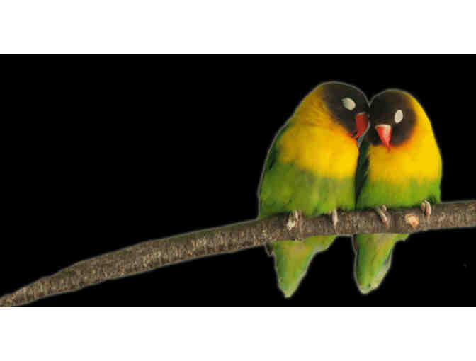 4-Pack of Admission Tickets to The Cleveland Museum of Natural History