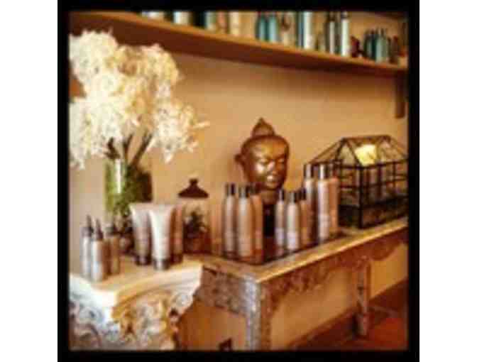 Haircuts for a Year at The Shawn Paul Salon