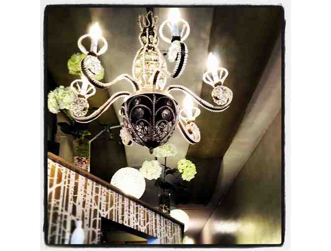 Haircuts for a Year at The Shawn Paul Salon