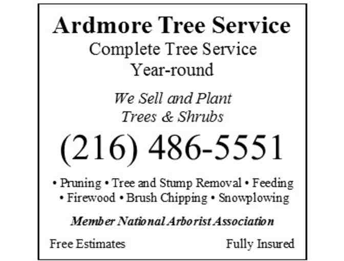 Firewood-225 Pieces from Ardmore Tree Service