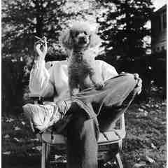 Ascherman Photographers