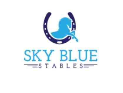 Party Package at Sky Blue Stables | 52 Montrose Station Road, Cortlandt Manor, NY