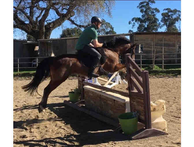 Super Special Horse Riding Training Session