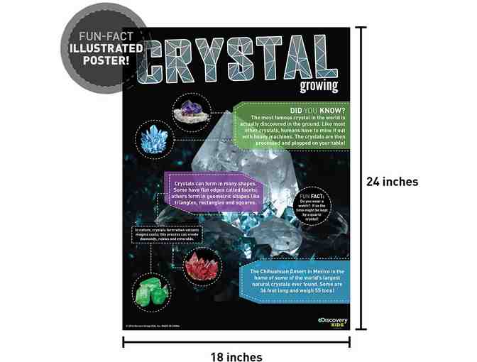 Crystal Growing Kit - 3 Vibrant Crystal Colors