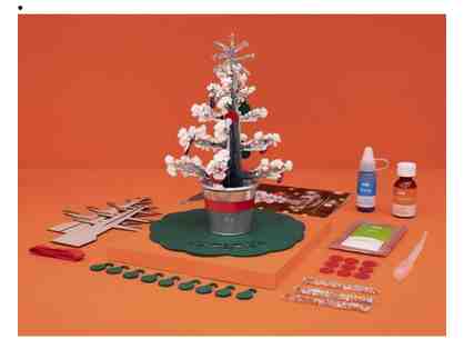 Crystal Chemistry Tree Kiwi Crate