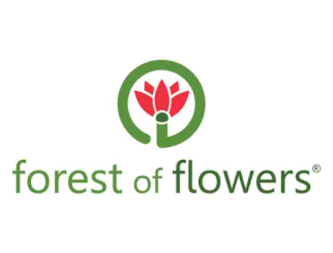 Forest of Flowers - Dozen Roses