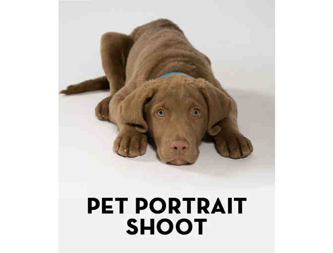 Pet Love -- Photograph your family pet after visiting the pet boutique!