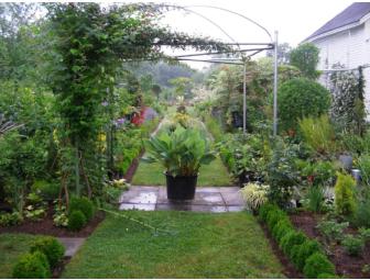 Earthly Delights: Landscape Consultation with Louis Raymond.