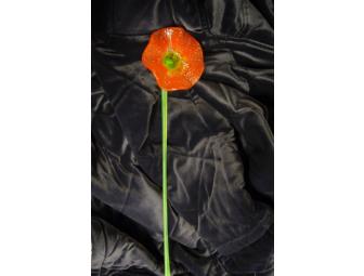 Red Poppy Glass Art