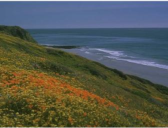 Healing from the Heart with Reiki