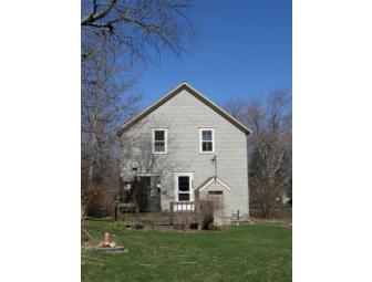 Mermaids For Roommates