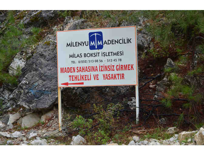 A CSARITE(R) Gemstone ready for an amazing piece of jewelry