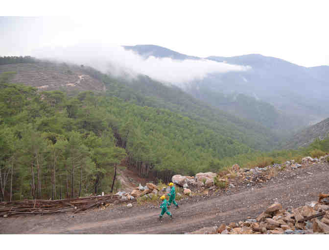 A CSARITE(R) Gemstone ready for an amazing piece of jewelry