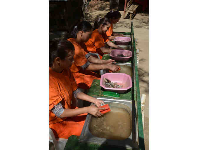 A CSARITE(R) Gemstone ready for an amazing piece of jewelry