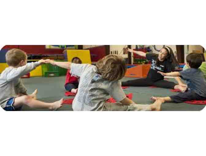 Vargas Academy of Gymnastic Arts: One Open Gym Punch Card
