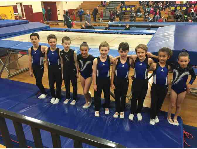 Vargas Academy of Gymnastic Arts: One Open Gym Punch Card