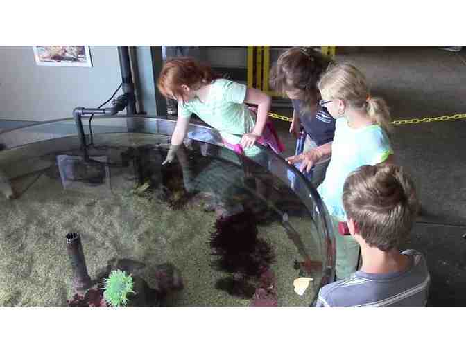 Seymour Marine Discovery Center: Four Admission Passes