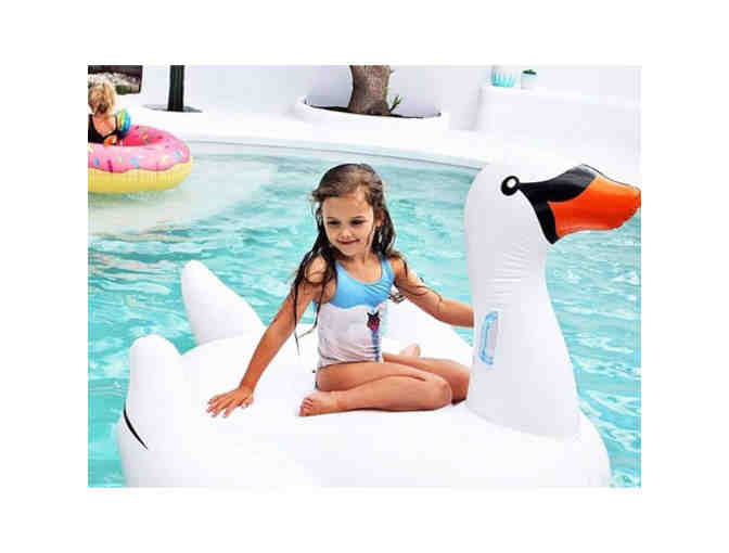 Xandra Swimwear: Really Big Inflatable Swan
