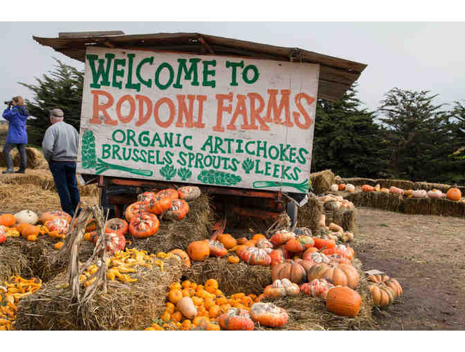 Rodoni Farms: $25 Gift Certificate to Pumpkin Patch