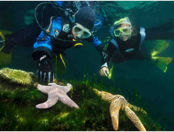 Monterey Bay Aquarium: Underwater Explorers Package