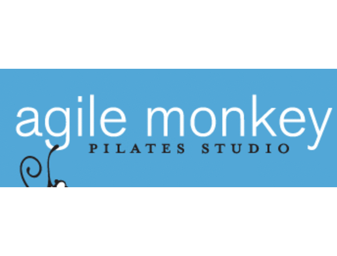 Agile Monkey Pilates Studio: Assessment Appointment and Private Followup Session