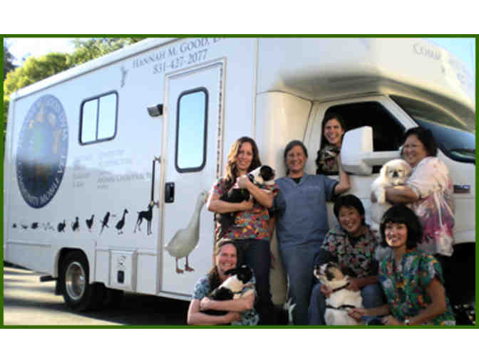 Community Mobile Vet: One Exam + One Vaccine for Your Dog or Cat - Photo 1