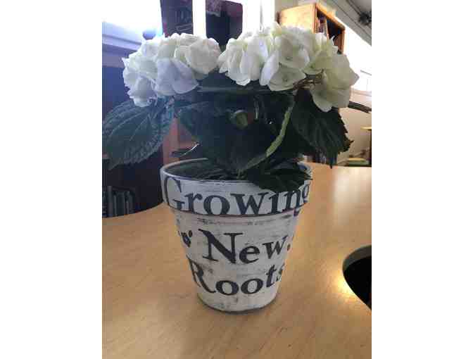 'Growing New Roots' Garden Wagon